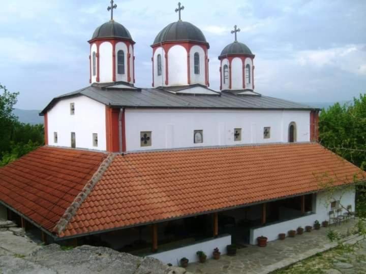 Villa Radica Negotino  Esterno foto